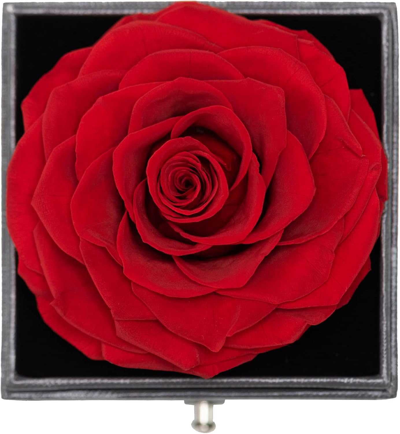 Miofula Rose Eternelle Cadeau Femme, Rose Éternelle avec Argent 925 Collier Boucles d'oreilles Bijoux Cadeau Anniversaire Femme, Préservée Rose Cadeau pour Elle la Noël, Saint-Valentin, Fête des mères